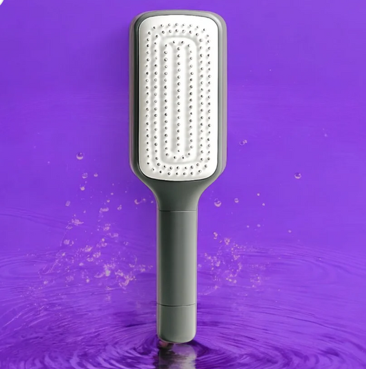 4 In 1 Self Cleaning Brush