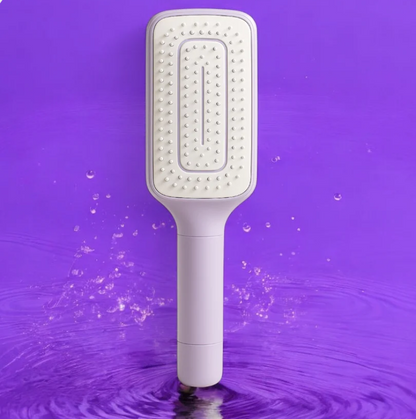 4 In 1 Self Cleaning Brush